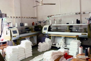 志豐針織時裝廠 專業印花毛衣系列，歡迎來樣來圖訂貨